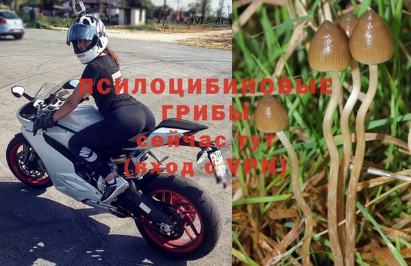 амфетамин Арсеньев